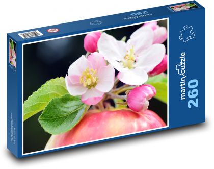 Jabloňové květy - jablko, jaro - Puzzle 260 dílků, rozměr 41x28,7 cm