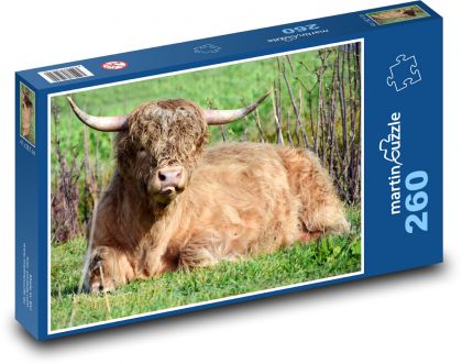 Býk - zviera, farma - Puzzle 260 dielikov, rozmer 41x28,7 cm