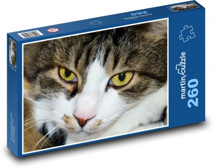 Mačka domáca - domáce zviera, mačka - Puzzle 260 dielikov, rozmer 41x28,7 cm