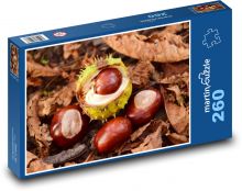 Gaštany - jeseň, listy Puzzle 260 dielikov - 41 x 28,7 cm 