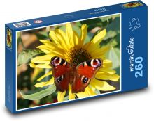 Motýl - slunečnice, květ Puzzle 260 dílků - 41 x 28,7 cm