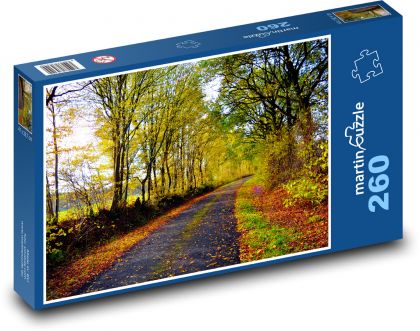 Podzimní krajina - silnice, stromy - Puzzle 260 dílků, rozměr 41x28,7 cm