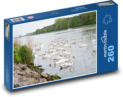 Swans - birds, animals - Puzzle 260 pieces, size 41x28.7 cm 