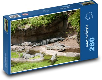 Alligators - crocodile - Puzzle 260 pieces, size 41x28.7 cm 