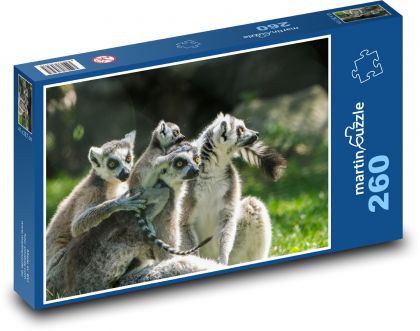 Lemuři - skupina lemurů - Puzzle 260 dílků, rozměr 41x28,7 cm