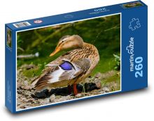 Animal - duck Puzzle 260 pieces - 41 x 28.7 cm 