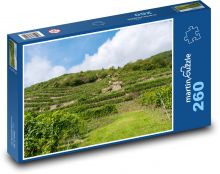 Vinice - vinná réva Puzzle 260 - 41x28,7 cm