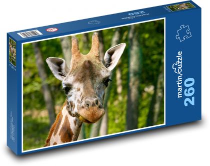 Žirafa - hlava Žirafy - Puzzle 260 dílků, rozměr 41x28,7 cm