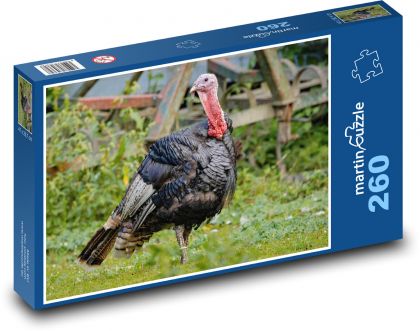 Indyk - ptak, drób domowy - Puzzle 260 elementów, rozmiar 41x28,7 cm