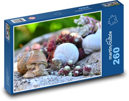 Slimák - plaziaci sa slimák, ulita - Puzzle 260 dielikov, rozmer 41x28,7 cm