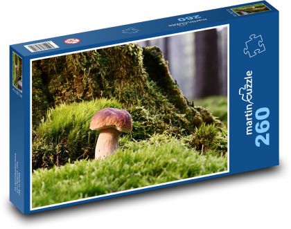 Mushroom - moss, forest - Puzzle 260 pieces, size 41x28.7 cm 