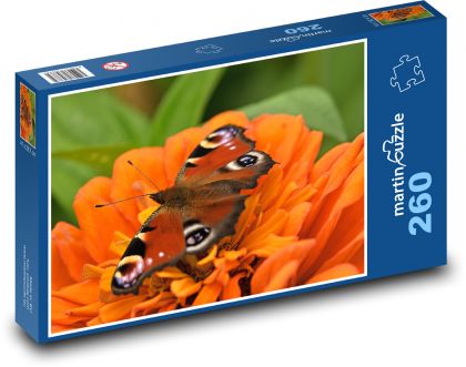 Motýl - paví očko, květ - Puzzle 260 dílků, rozměr 41x28,7 cm