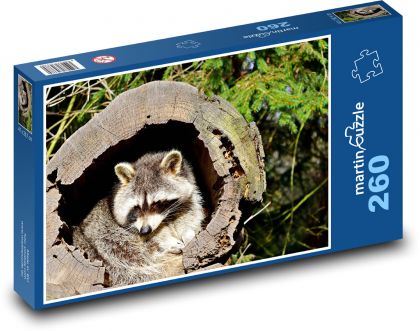 Szop pracz - zwierzę, drzewo - Puzzle 260 elementów, rozmiar 41x28,7 cm