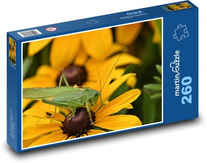 Grasshopper - insects, flower - Puzzle 260 pieces, size 41x28.7 cm 