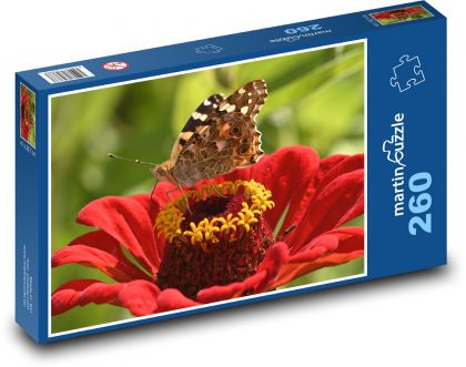 Flower - butterfly, insects - Puzzle 260 pieces, size 41x28.7 cm 