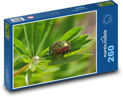 Chrobák - hmyz, rosa - Puzzle 260 dielikov, rozmer 41x28,7 cm