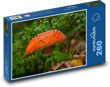Muchomůrka - houba, les Puzzle 260 dílků - 41 x 28,7 cm