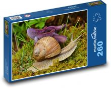 Šnek - houba, hlemýžď Puzzle 260 dílků - 41 x 28,7 cm