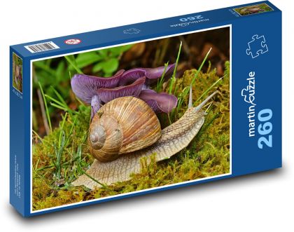 Šnek - houba, hlemýžď - puzzle 260 dílků