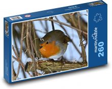 Rudzik - zima, ptak Puzzle 260 elementów - 41x28,7 cm