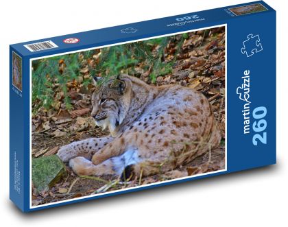 Luchs - Raubtier, Wildtiere - Puzzle - 260 Teile