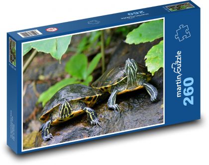 Korytnačky - plazy, zvieratá - Puzzle 260 dielikov, rozmer 41x28,7 cm