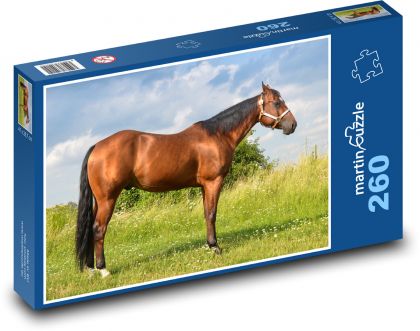 Kůň - zvíře, louka - Puzzle 260 dílků, rozměr 41x28,7 cm