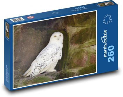 Sněžná sova - bílý pták, zvíře - puzzle 260 dílků