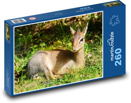 Łania - młody, zwierzę - Puzzle 260 elementów, rozmiar 41x28,7 cm