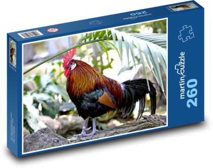 Kohout - peří, pták - puzzle 260 dílků