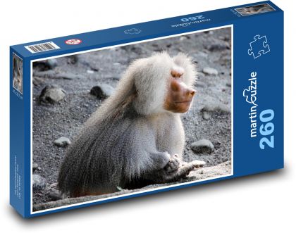 Pavián - opice, primát - Puzzle 260 dílků, rozměr 41x28,7 cm