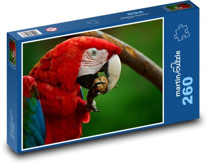 Ara - papoušek, červený pták - Puzzle 260 dílků, rozměr 41x28,7 cm