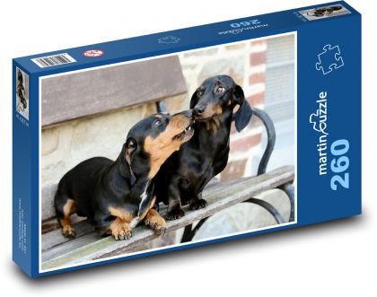 Jezevčík - pes, domácí zvíře - Puzzle 260 dílků, rozměr 41x28,7 cm
