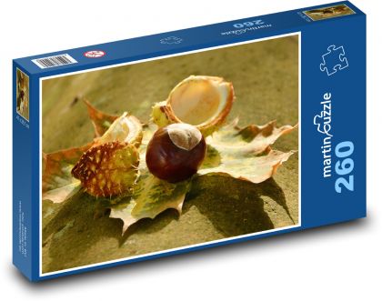 Kaštany - podzim, listy - Puzzle 260 dílků, rozměr 41x28,7 cm