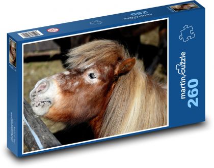 Kuc szetlandzki - źrebię, koń - Puzzle 260 elementów, rozmiar 41x28,7 cm