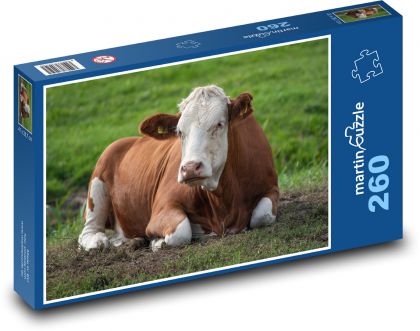 Cow - farm animal, meadow - Puzzle 260 pieces, size 41x28.7 cm 
