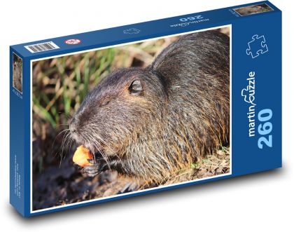 Nutria - Nagetier, Tier - Puzzle - 260 Teile