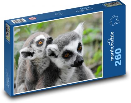 Lemurs - animals, zoo - Puzzle 260 pieces, size 41x28.7 cm 