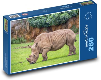 Nosorožec - divoký savec, zvíře - Puzzle 260 dílků, rozměr 41x28,7 cm