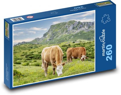 Grazing cows - cattle, meadow - Puzzle 260 pieces, size 41x28.7 cm 