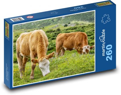 Hnědé krávy - hospodářská zvířata, pastvina - Puzzle 260 dílků, rozměr 41x28,7 cm