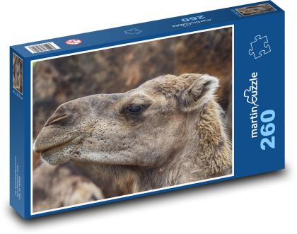 Head of camel - animal, mammal - Puzzle 260 pieces, size 41x28.7 cm 