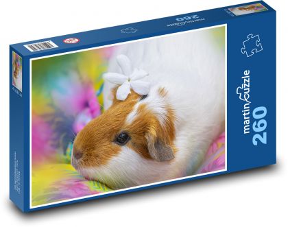 Morča - domáci maznáčik, hlodavec - Puzzle 260 dielikov, rozmer 41x28,7 cm