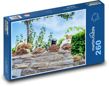 Katzen an der Wand - Haustiere, Tiere - Puzzle - 260 Teile