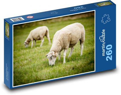 Sheep, pasture, animals - Puzzle 260 pieces, size 41x28.7 cm 