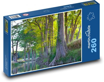 Tree - roots, river - Puzzle 260 pieces, size 41x28.7 cm 