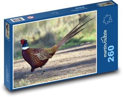 Dziczyzna - bażant - Puzzle 260 elementów, rozmiar 41x28,7 cm