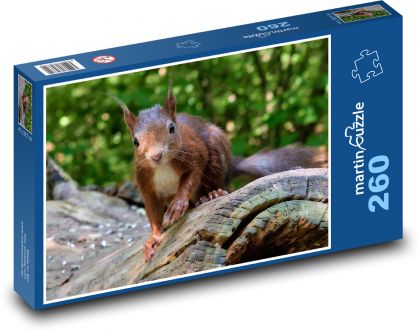 Hlodavec - hnedá veverička - Puzzle 260 dielikov, rozmer 41x28,7 cm