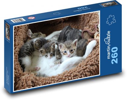 Kotě - koťátka v pelíšku - Puzzle 260 dílků, rozměr 41x28,7 cm