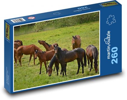Zvieratá - stádo koní - Puzzle 260 dielikov, rozmer 41x28,7 cm